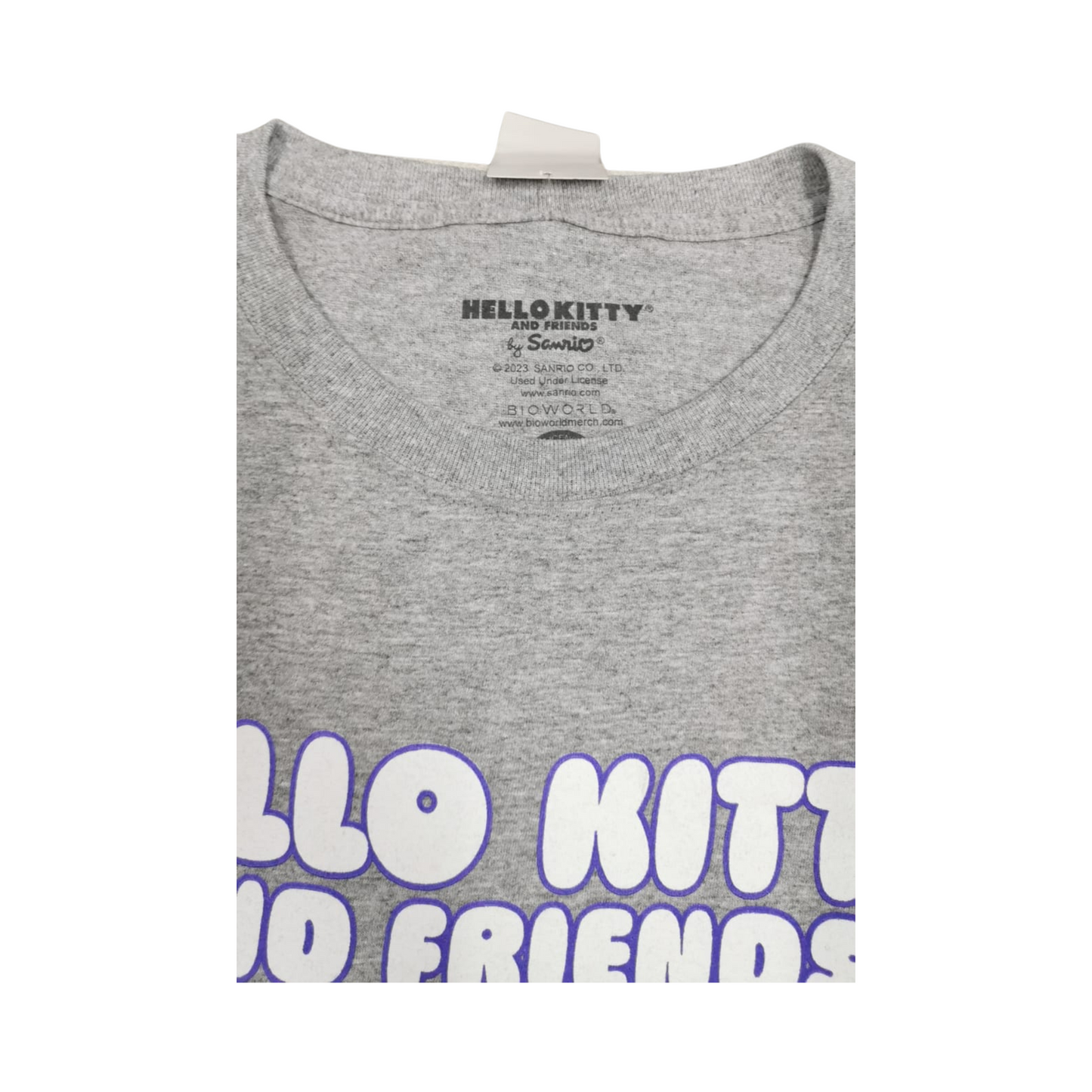 Playera HELLO KITTY & FRIENDS