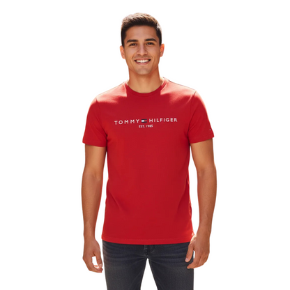 Playera TOMMY HILFIGER para hombre